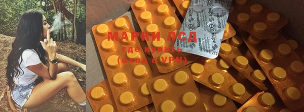 стафф Краснотурьинск