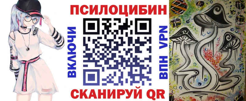 Псилоцибиновые грибы мухоморы  OMG как войти  Чулым  дарк нет состав  купить наркоту 